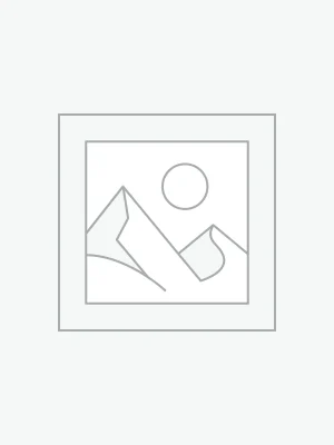 جت پرینتر هیتاچی UX
